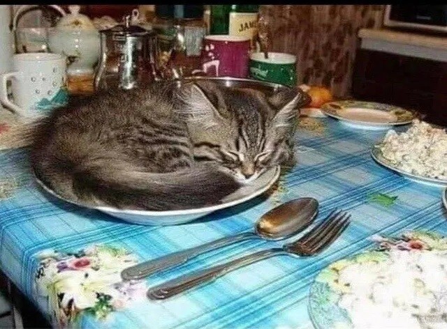 How important is a beautifully set table to you during meals?