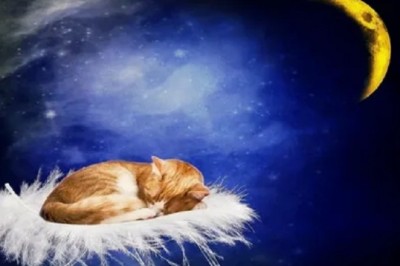 The Science Behind a Good Night's Sleep: Tips for Better Rest and Enhanced Well-being