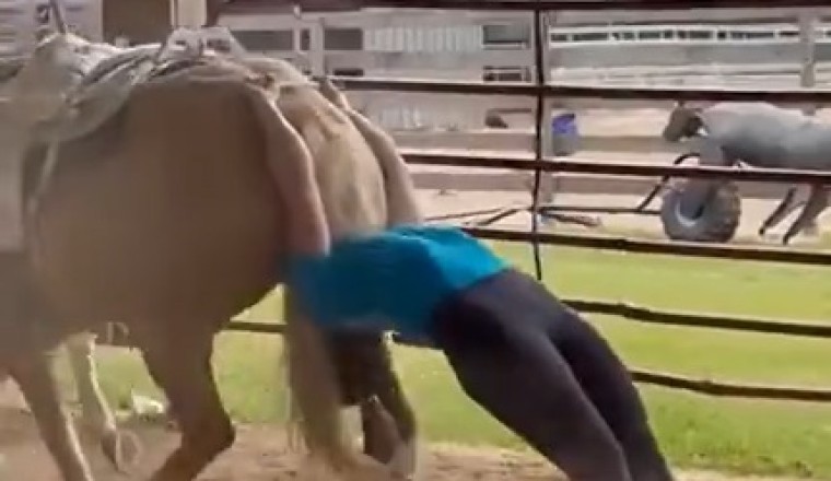 Hilarious Horseback Dancing: Witness the Weirdest Moves Ever!