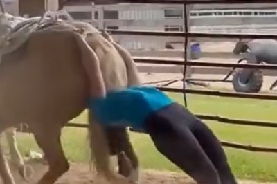 Hilarious Horseback Dancing: Witness the Weirdest Moves Ever!