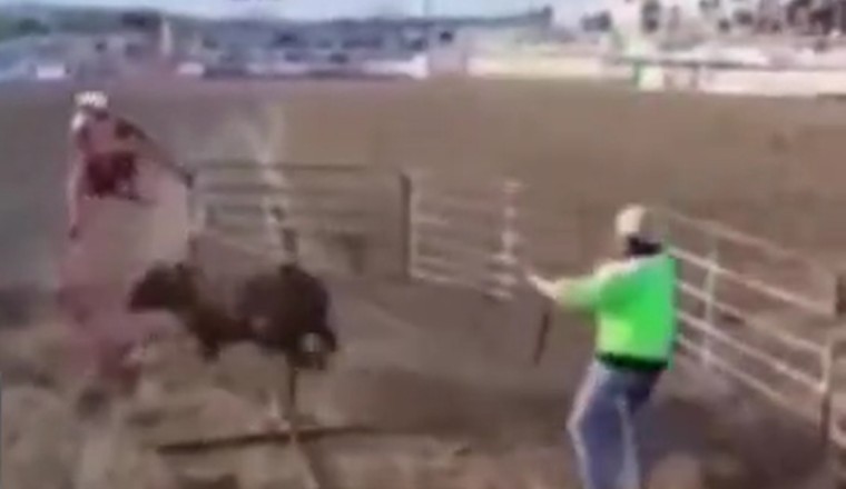 Terrifying Encounter: Two Men's Death-Defying Escape from a Vicious Bull Attack!