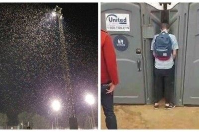 Unveiling the Essential Secrets of the World: Stay Connected and Informed!