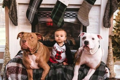 Incredible Bond: How One Little Boy and His Loyal Dog United an Entire Town