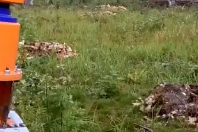 Bindozar in Action: Removing Tree Stumps Like a Pro