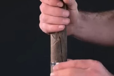 From Trash to Treasure: Giving a Cutting New Life 🌱